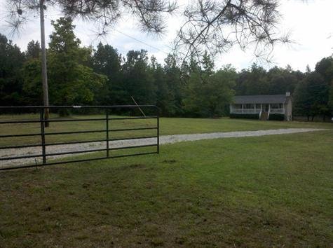 North Villa Rica Mini Horse Farm